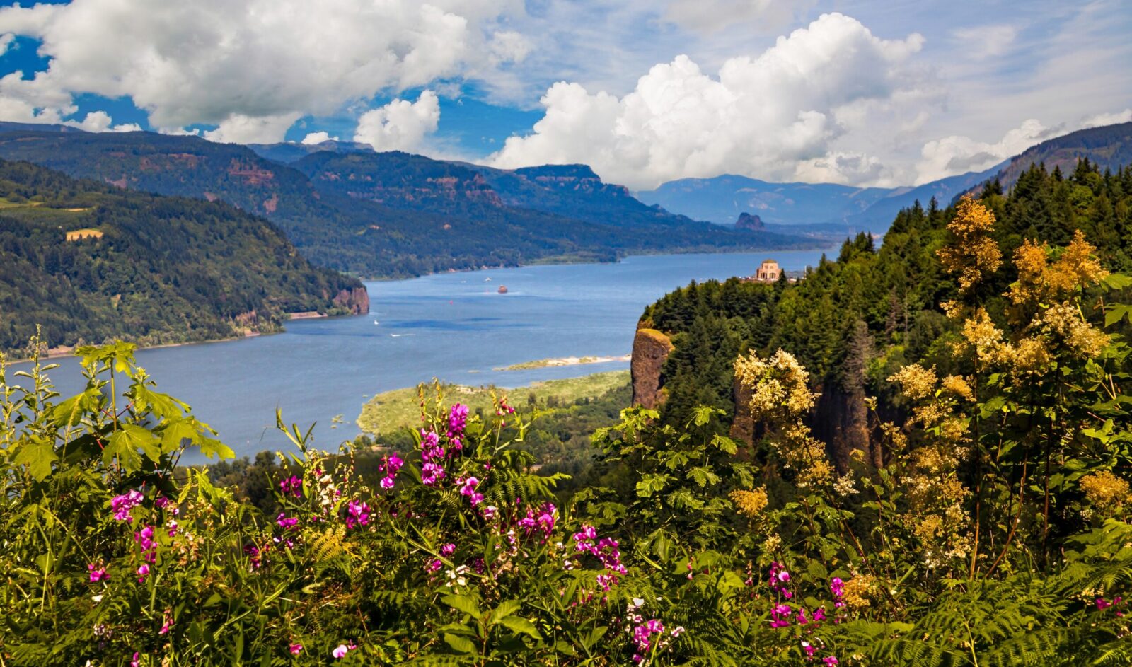 The Columbia River Gorge Scenic Area, wildflowers. Enjoy the beauty after your Washington Huckleberry gathering.