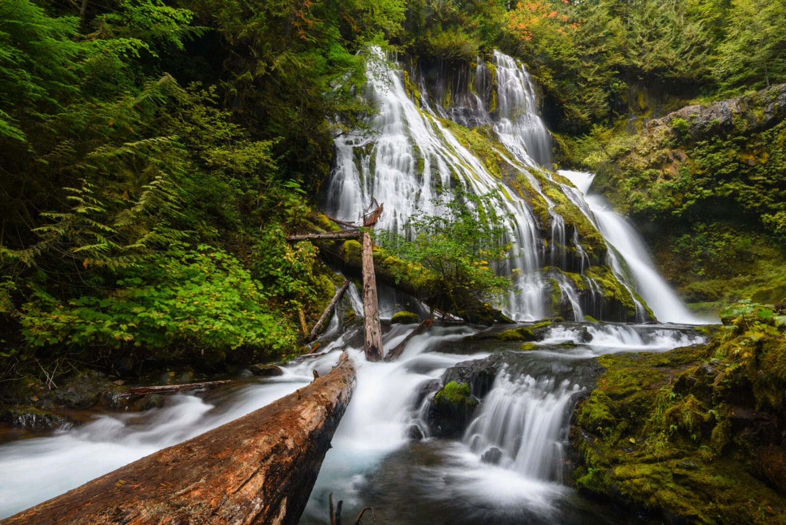 View from the base of Panther Creek Falls in the Gifford Pinchot National Forest