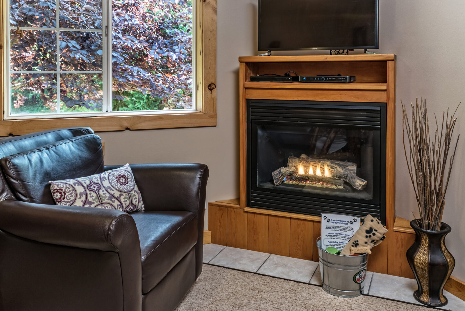 Fido Goodie bucket awaits near fire place at our dog friendly cabins near Seattle.