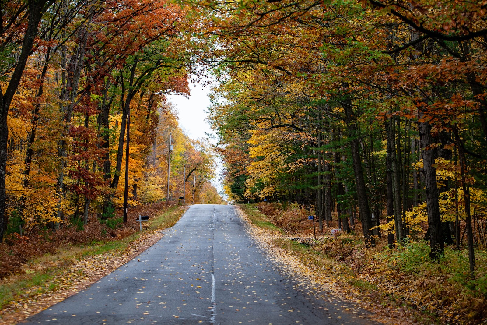 Wausau Ave in October with colorful autumn trees in showcasing Wisconsin fall colors.