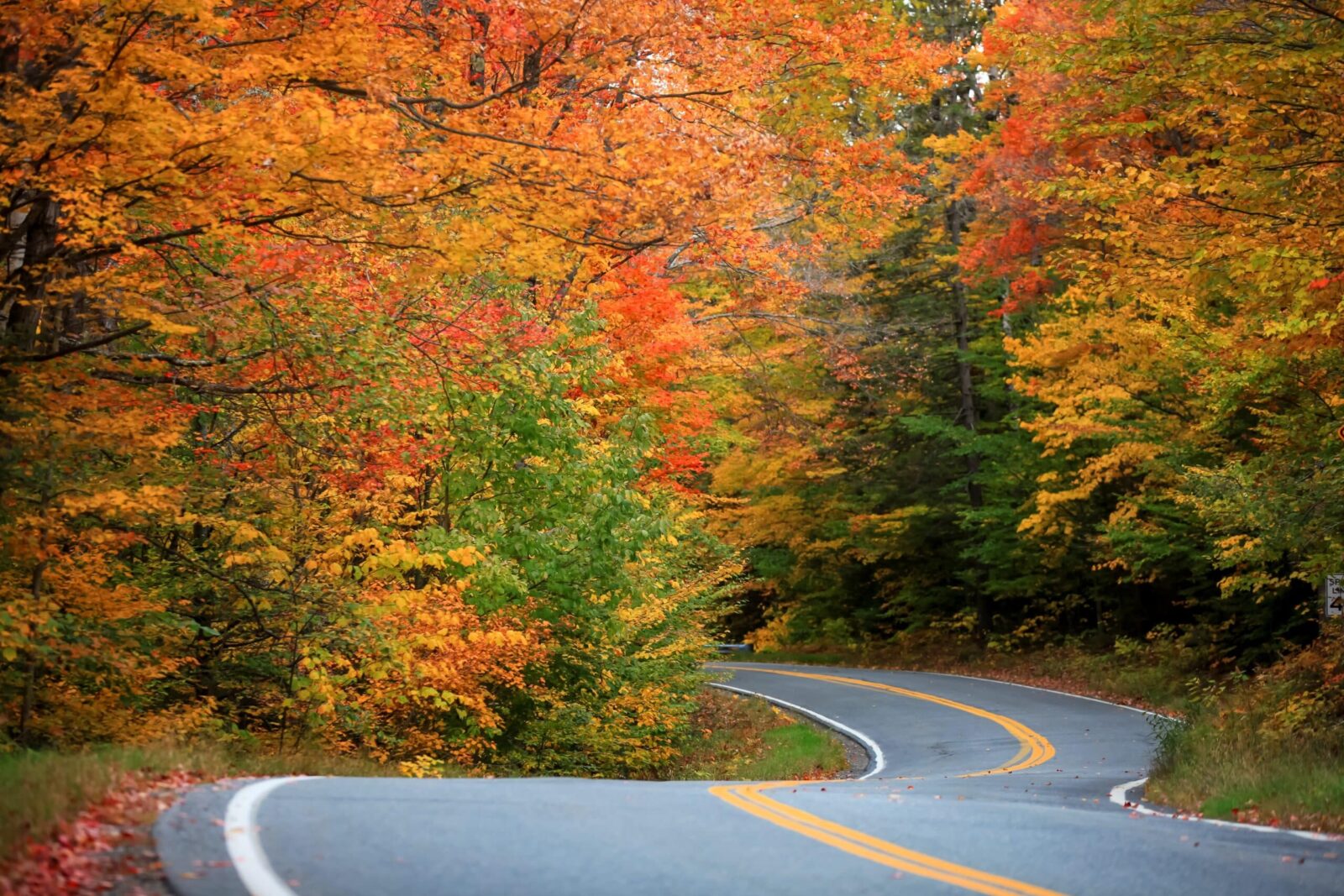 Beautiful rural Vermont during fall foliage, the best time Vermont scenic drives