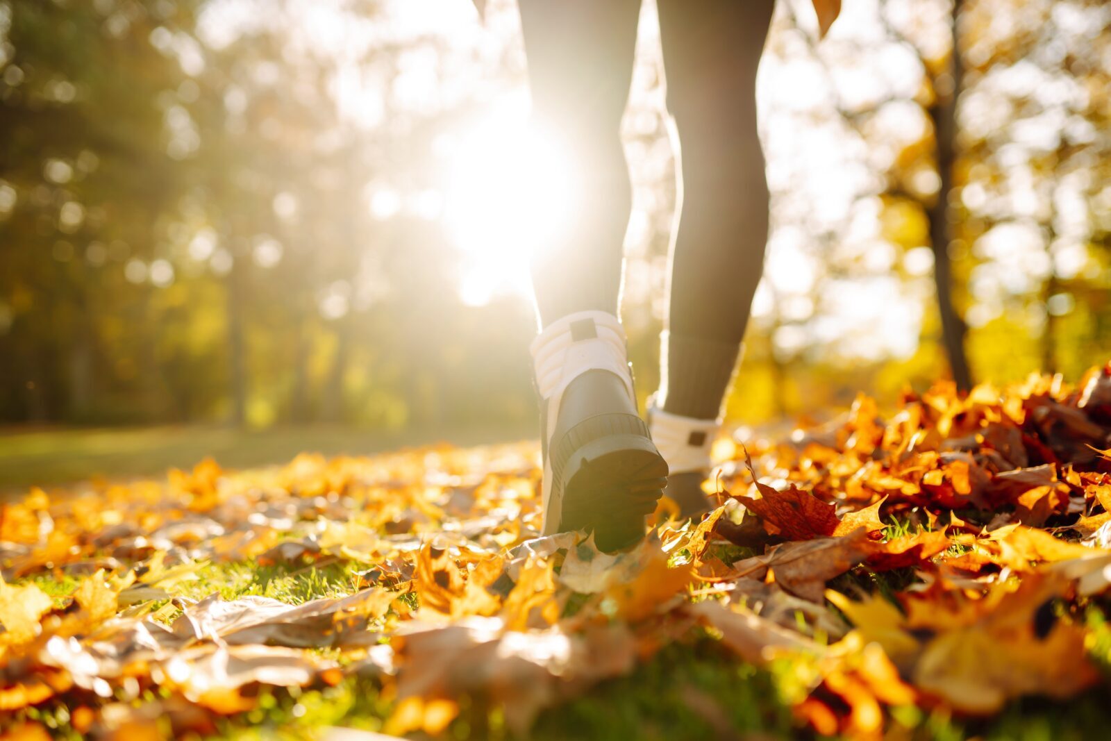 Hiking is one of the best things to do on Bainbridge Island in the fall. Close up of hiker, fallen golden leaves.