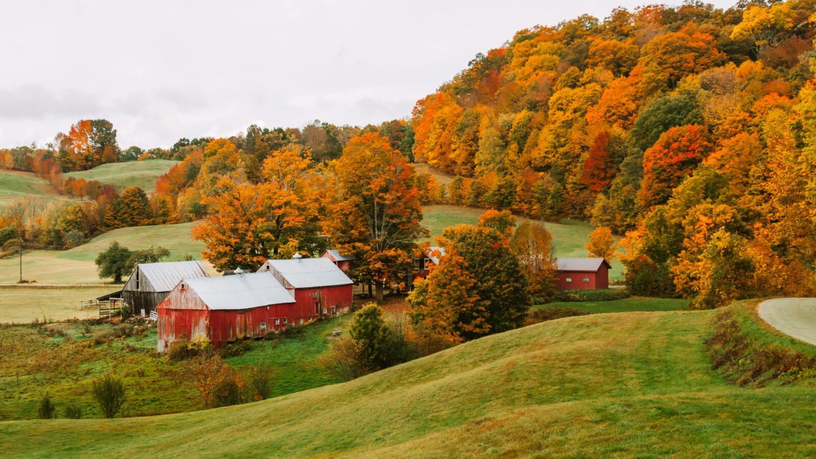Fall foliage near farms with red barns are familar sights on Vermont scenic drives.