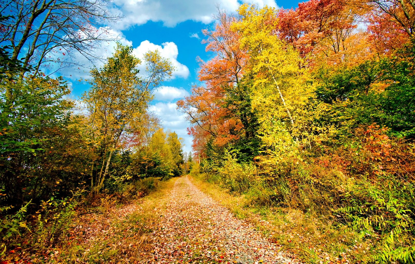 Woodland Path in Autumn, the perfect outing for a couples getaway in Pennsylvania