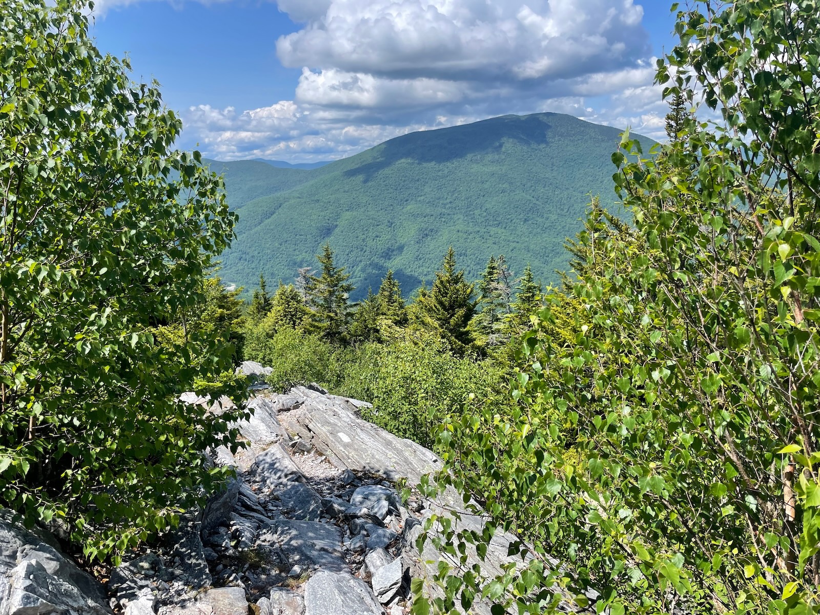 Sweeping views from hiking trails in the Mad River Valley