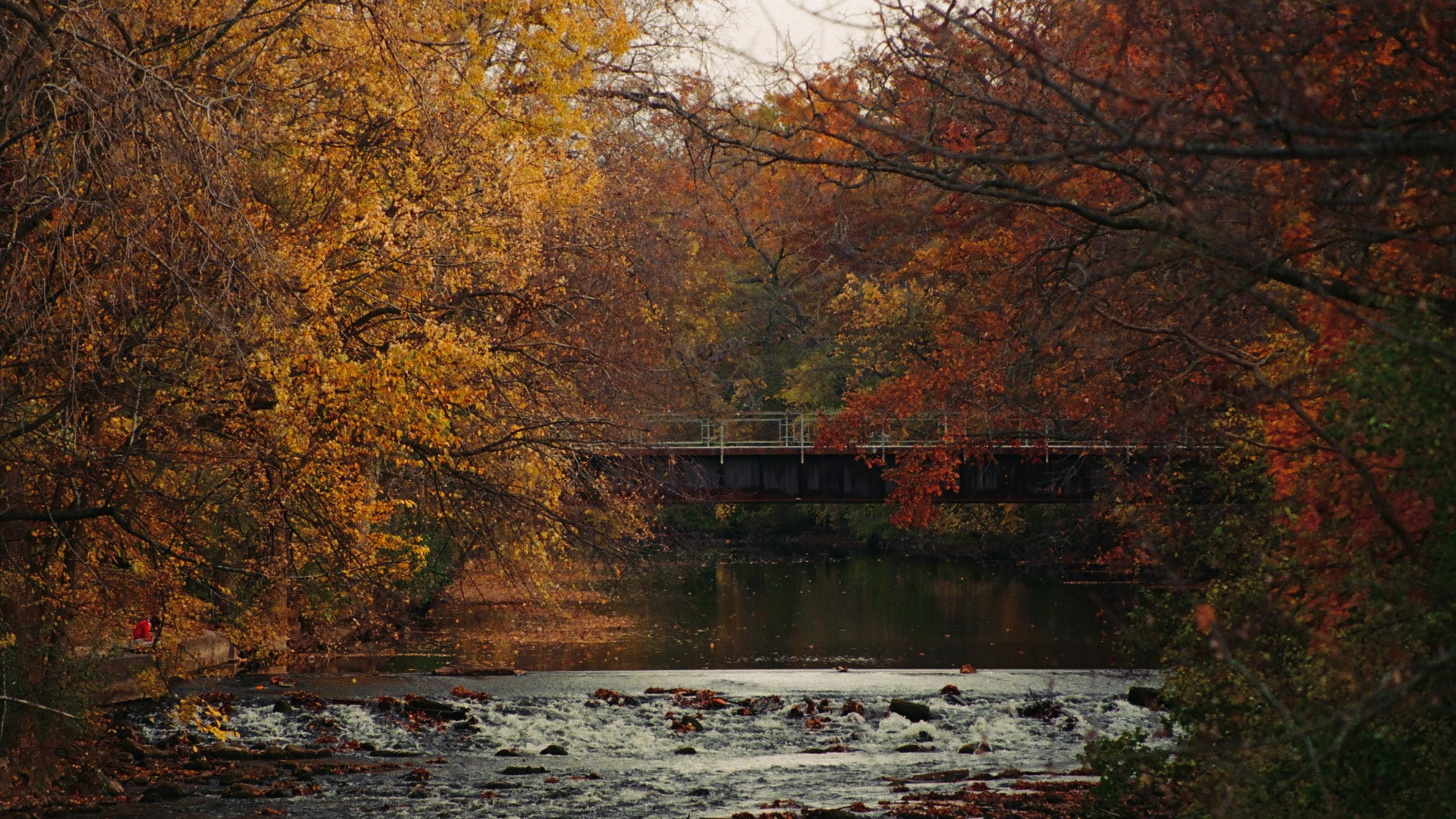 Autumn woodland scene with a small bridge spanning a calm river above a rocky, flowing waterfall.