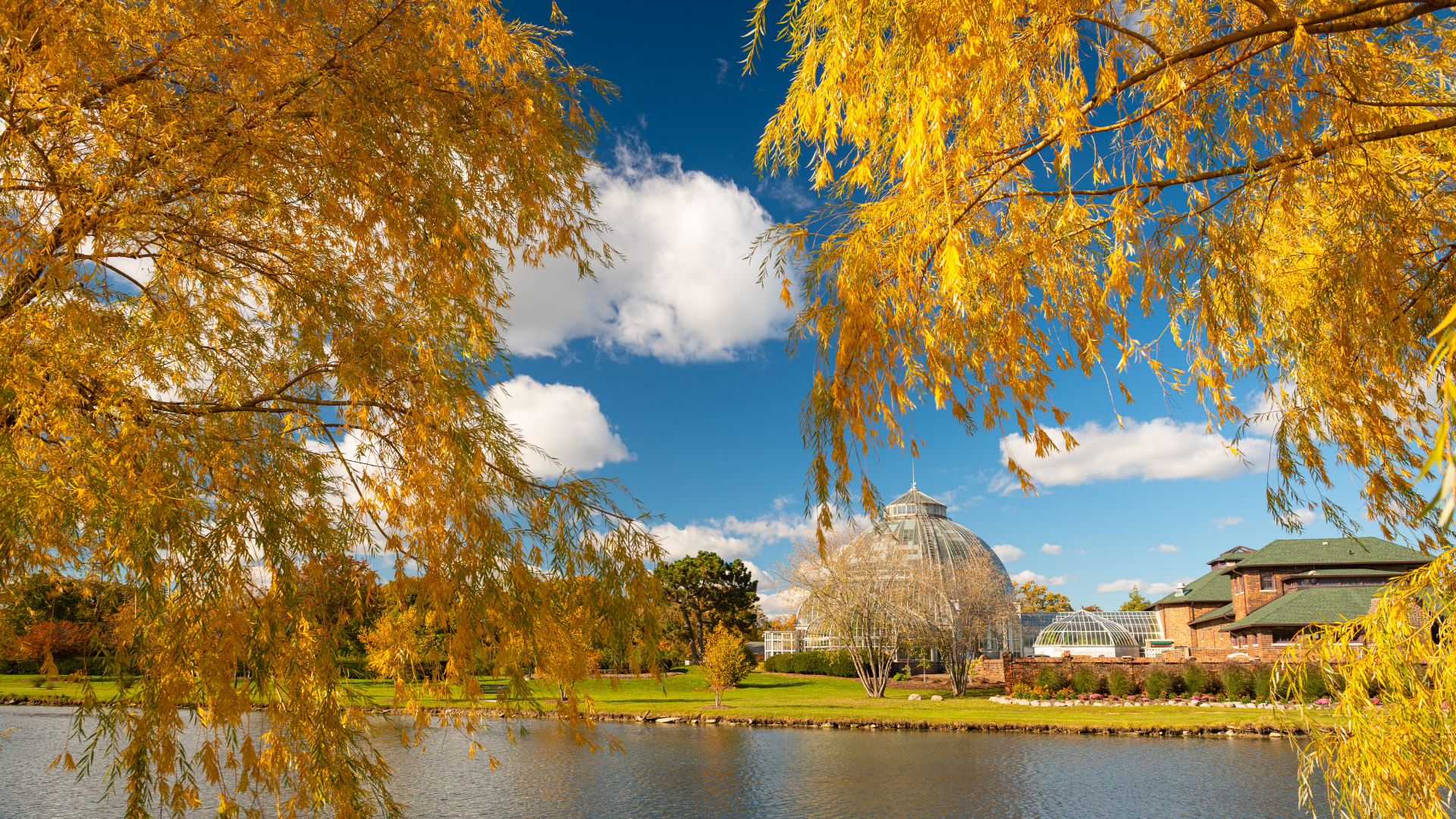 Autumn view of the fall colors in Michigan and of a glass-domed conservatory beside a pond, framed by golden willow trees under a bright blue sky.