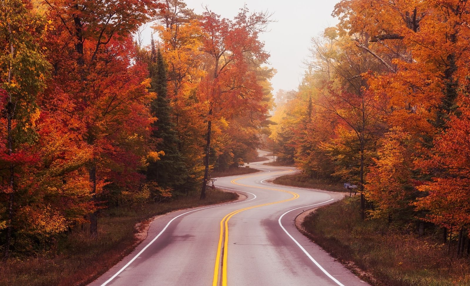 Winding scenic drive through vibrant fall colors on a Door County road in Wisconsin.