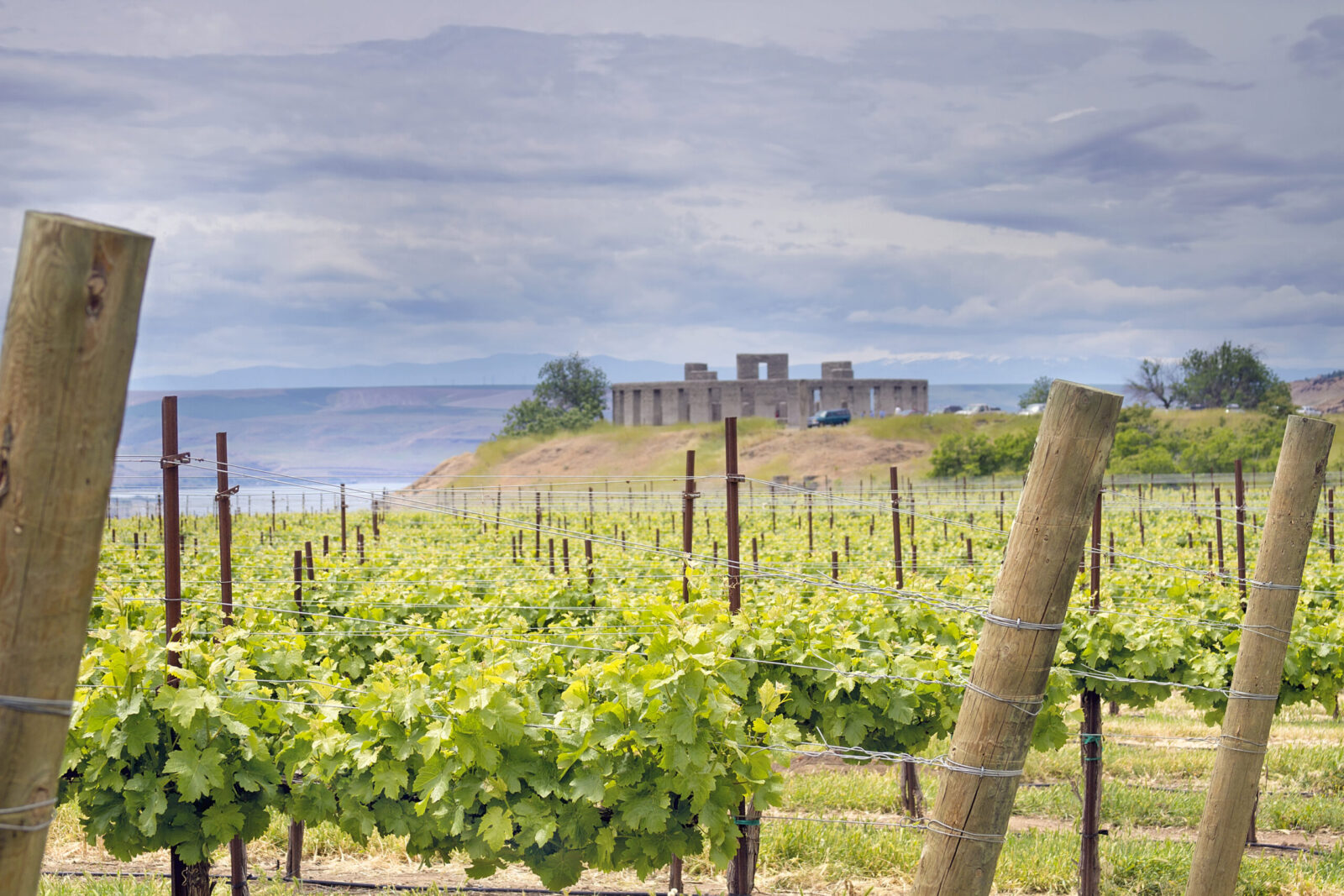 Maryhill Vineyard, one of our favorite Columbia Gorge wineries.