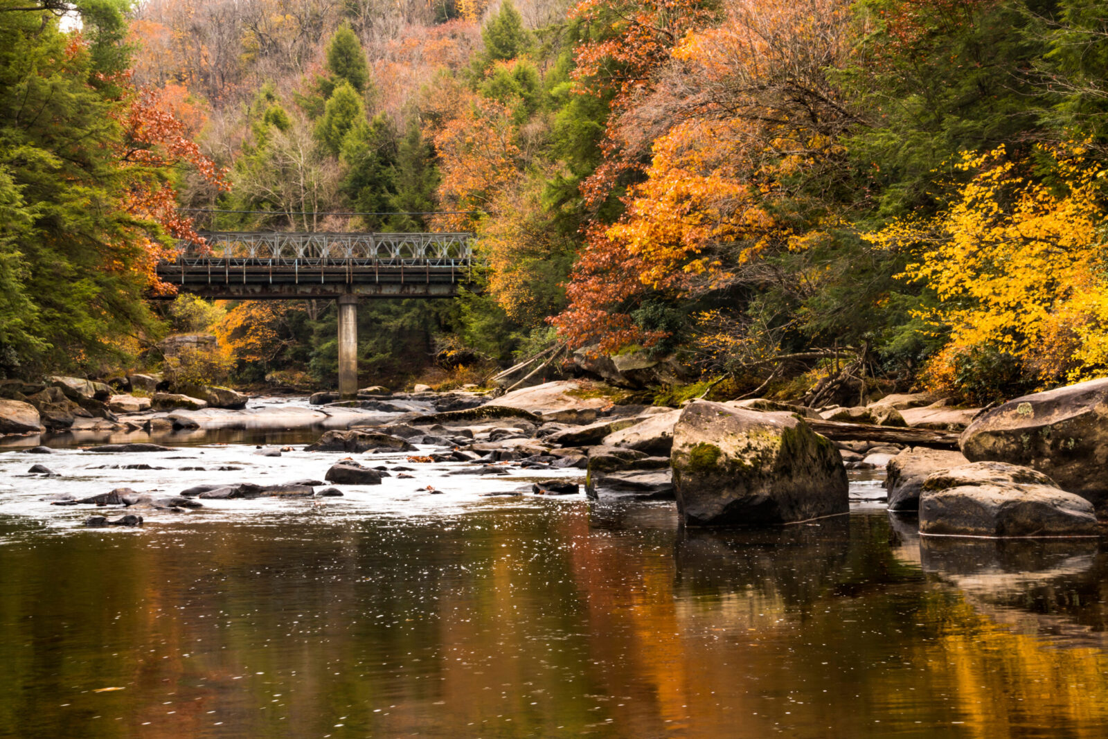 Vibrant fall foliage surrounds a bridge in Swallow Falls State Park, one of our favorite fall Maryland road trips.