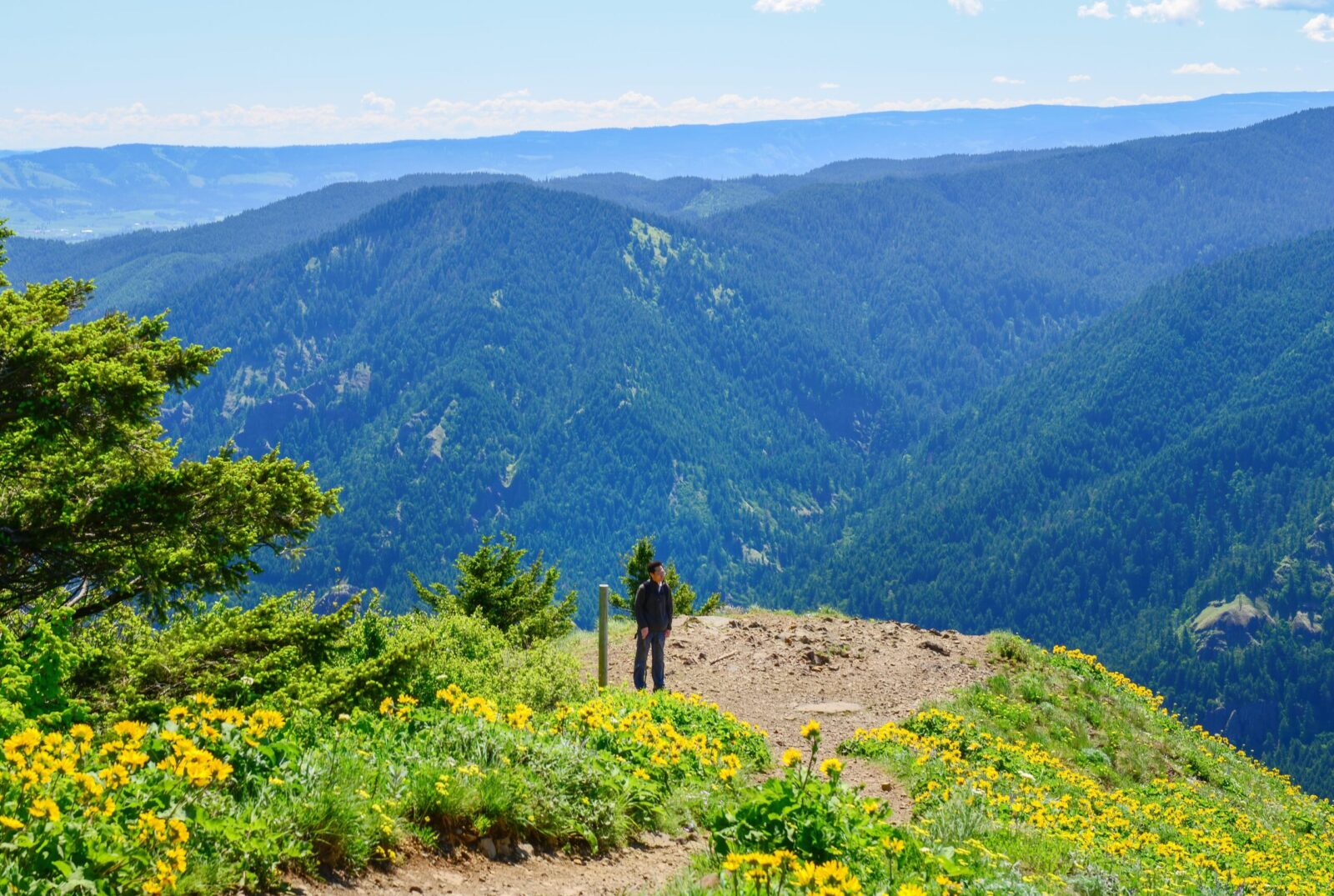 Man hiking dog mountain in the Columbia River Gorge on a blue sky day