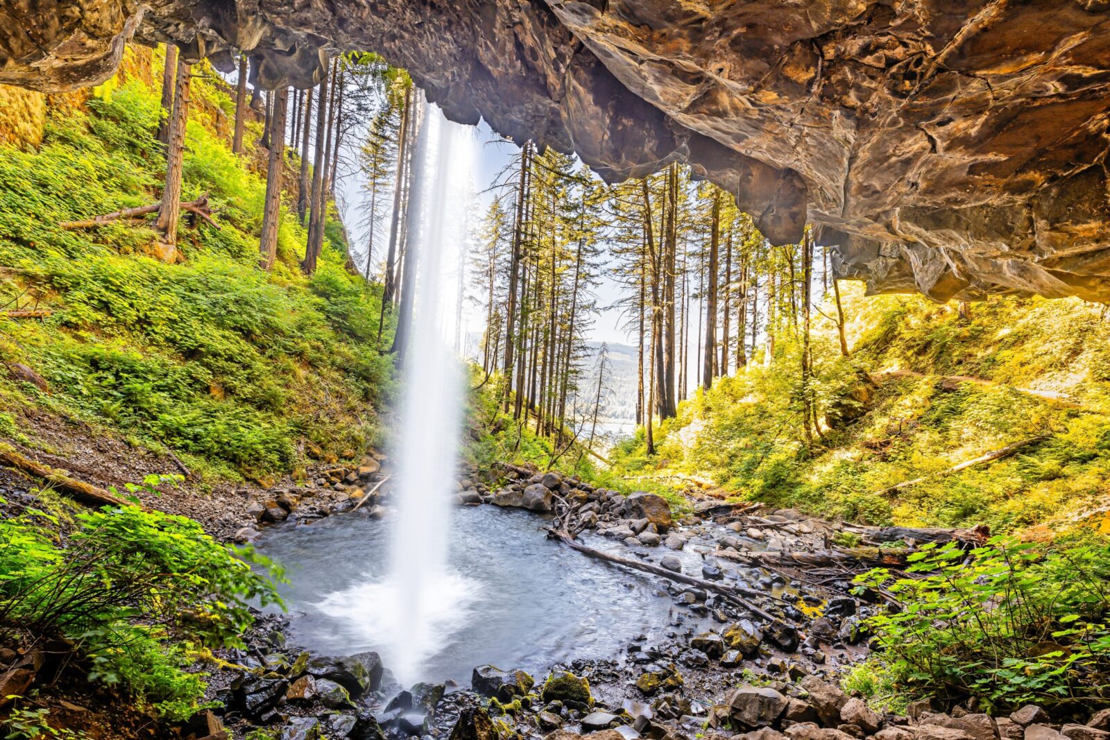 View from Behind Ponytail Falls, one of the best fall hikes in the Columbia River Gorge.