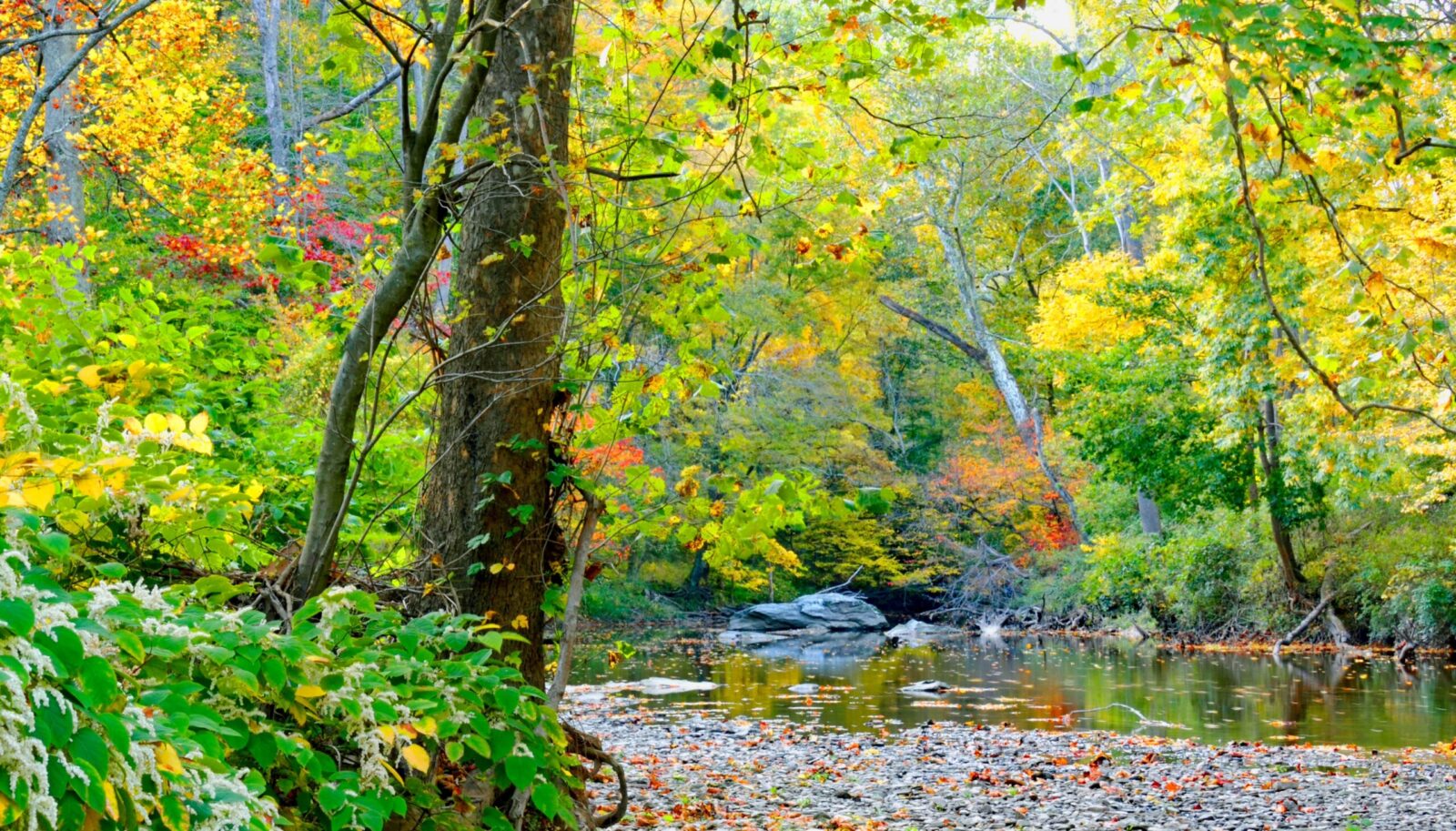Places to Visit Near Pittsburgh This Fall