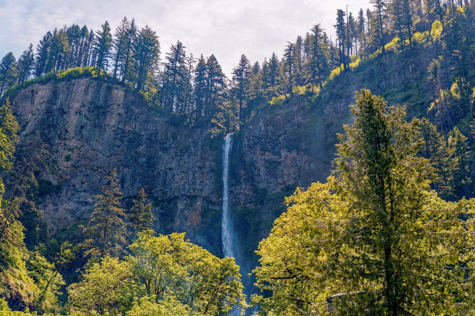 Multnomah Falls, the tallest waterfall in Oregon at 620 feet, plunges in two dramatic tiers through a moss-covered basalt canyon in the Columbia River Gorge National Scenic Area. The historic Benson Bridge, a concrete arch constructed in 1914 and named for Portland philanthropist Simon Benson, spans the gorge between the upper and lower falls as visitors take in the view from above the cascade. Fed by year-round underground springs from Larch Mountain, the falls never run dry and remain one of the most visited natural sites in the Pacific Northwest. Lush spring foliage and rising mist create an ethereal quality throughout the canyon, making this one of the most photographed landscapes in the American West.