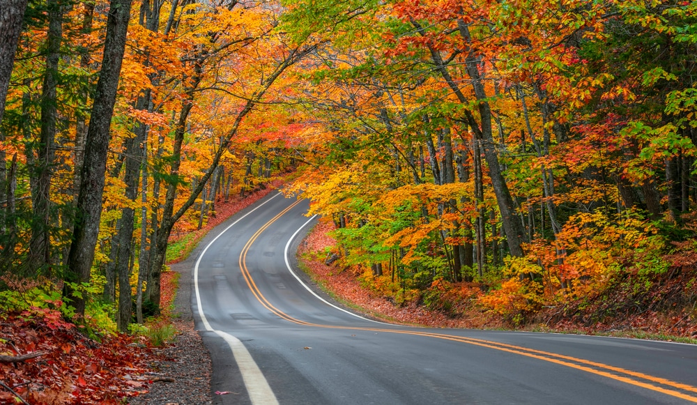 Blue Ridge Parkway Road Trip