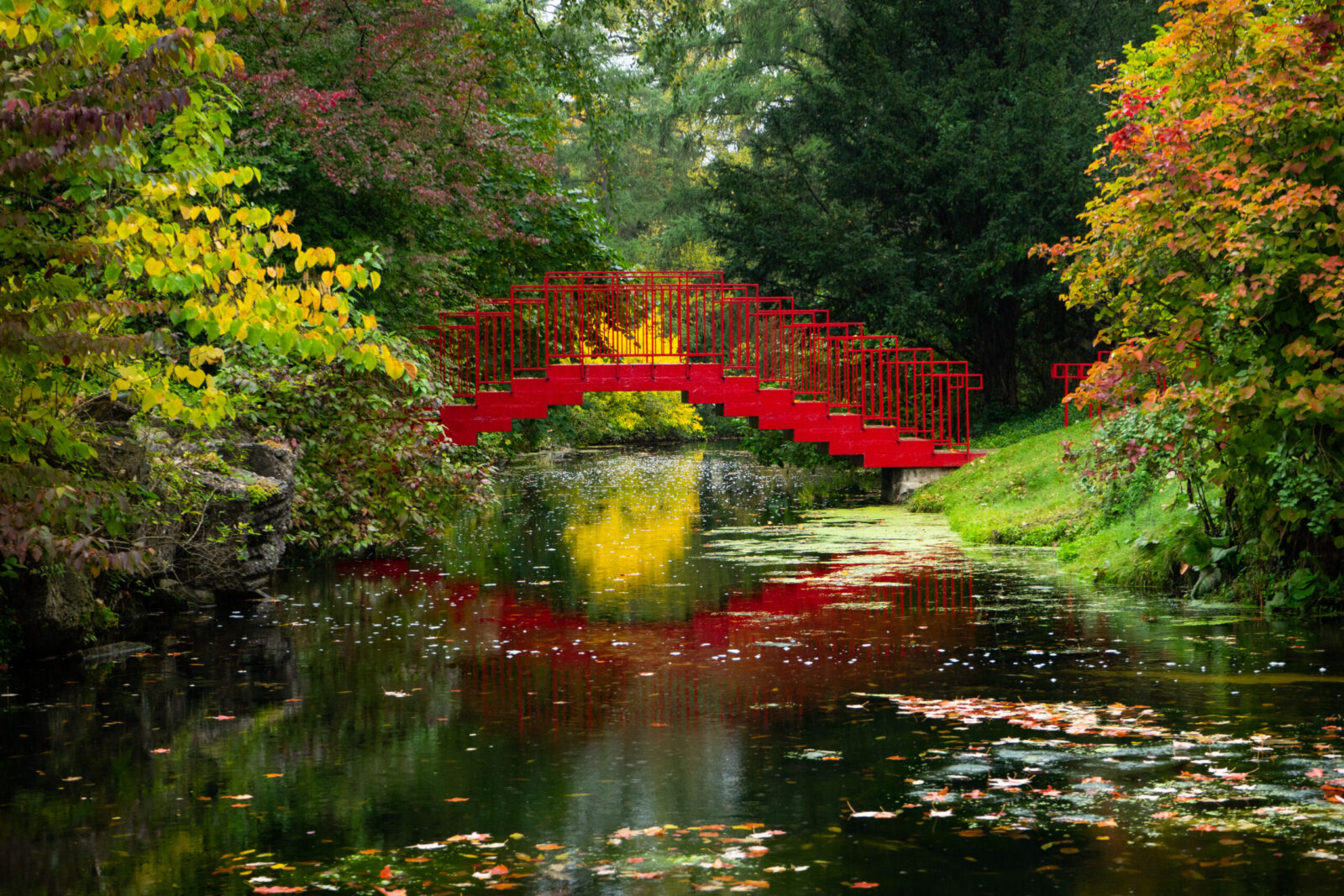 Red Bridge in White Forest of Dow Gardens, Michigan fall colors