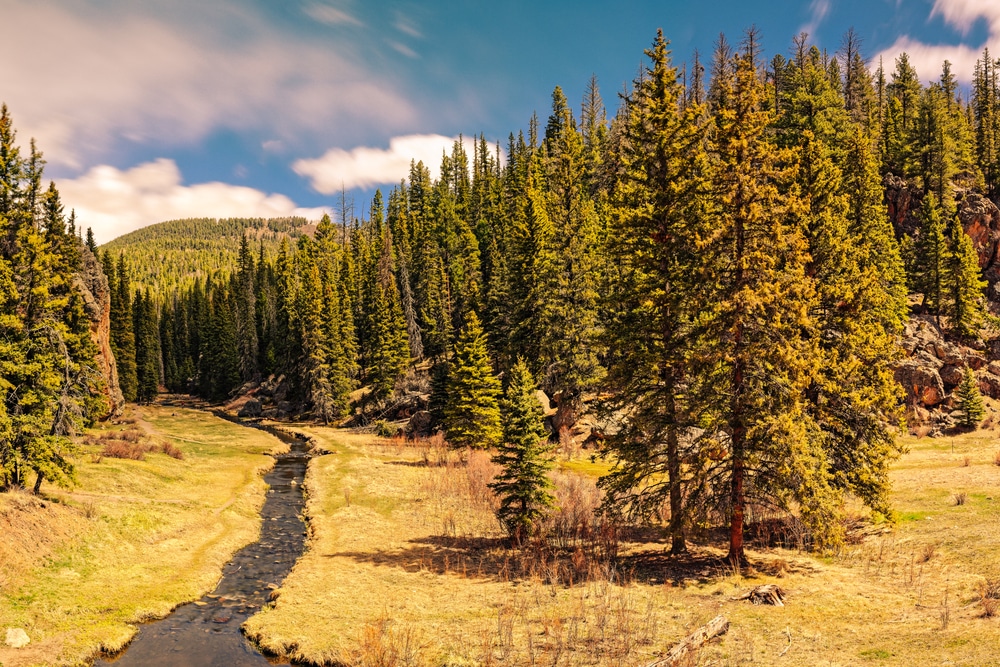 a hiking trail in the Jemez Mountains and the Valles Caldera National Preserve in Santa Fe