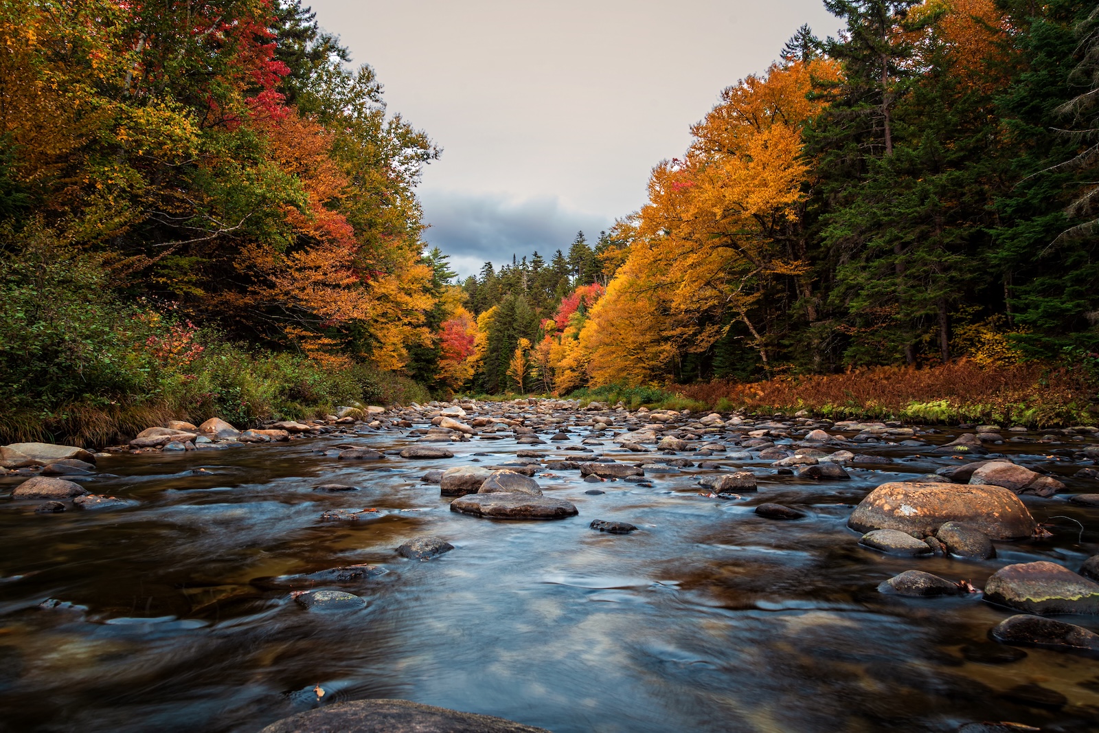 A river with rocks running through trees covered in New Hampshire fall foliage.