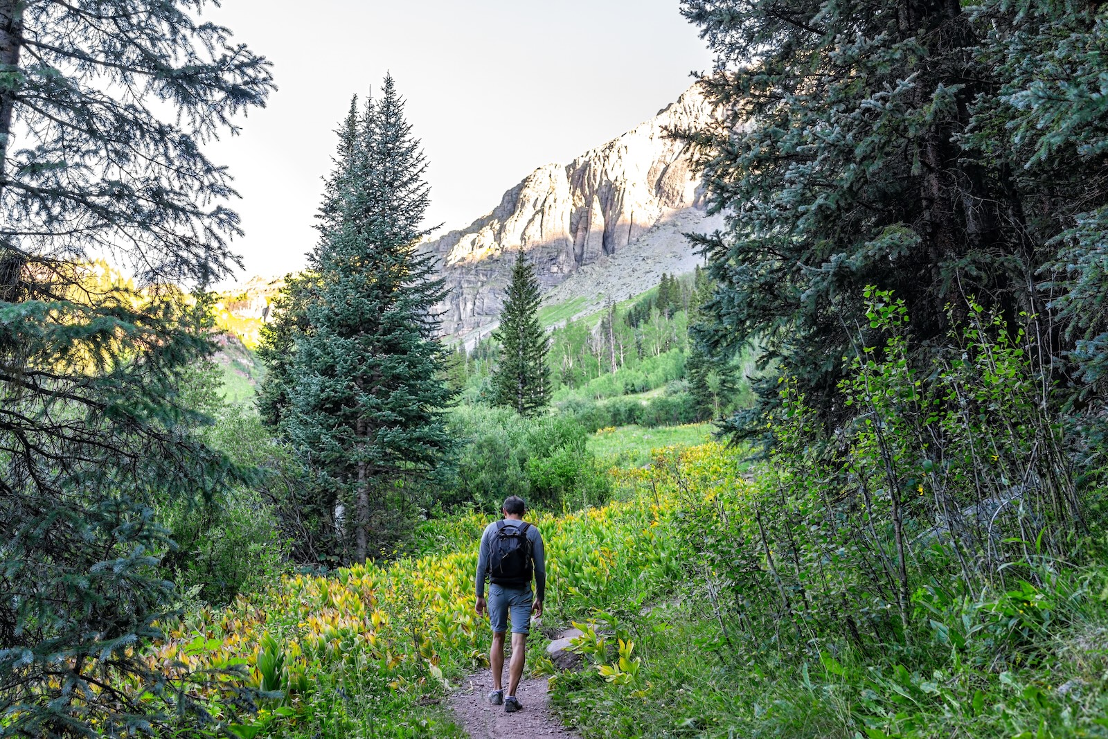 A man with a backpack hiking through green woods, one of the best things to do in Durango Colorado.