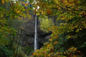 Latourell Falls in Columbia River Gorge Fall Foliage