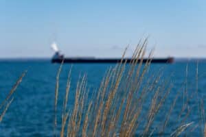 Decorative Grass, Lake Superior, Freighter on Lake. Watch the freighters from the patio at Canal Park Brewing.