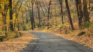 Devil's Lake State Park: fall foliage in hardwood trees