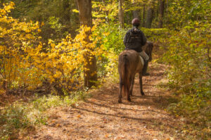Horseback rider on trail in Columbia River Gorge fall foliage.