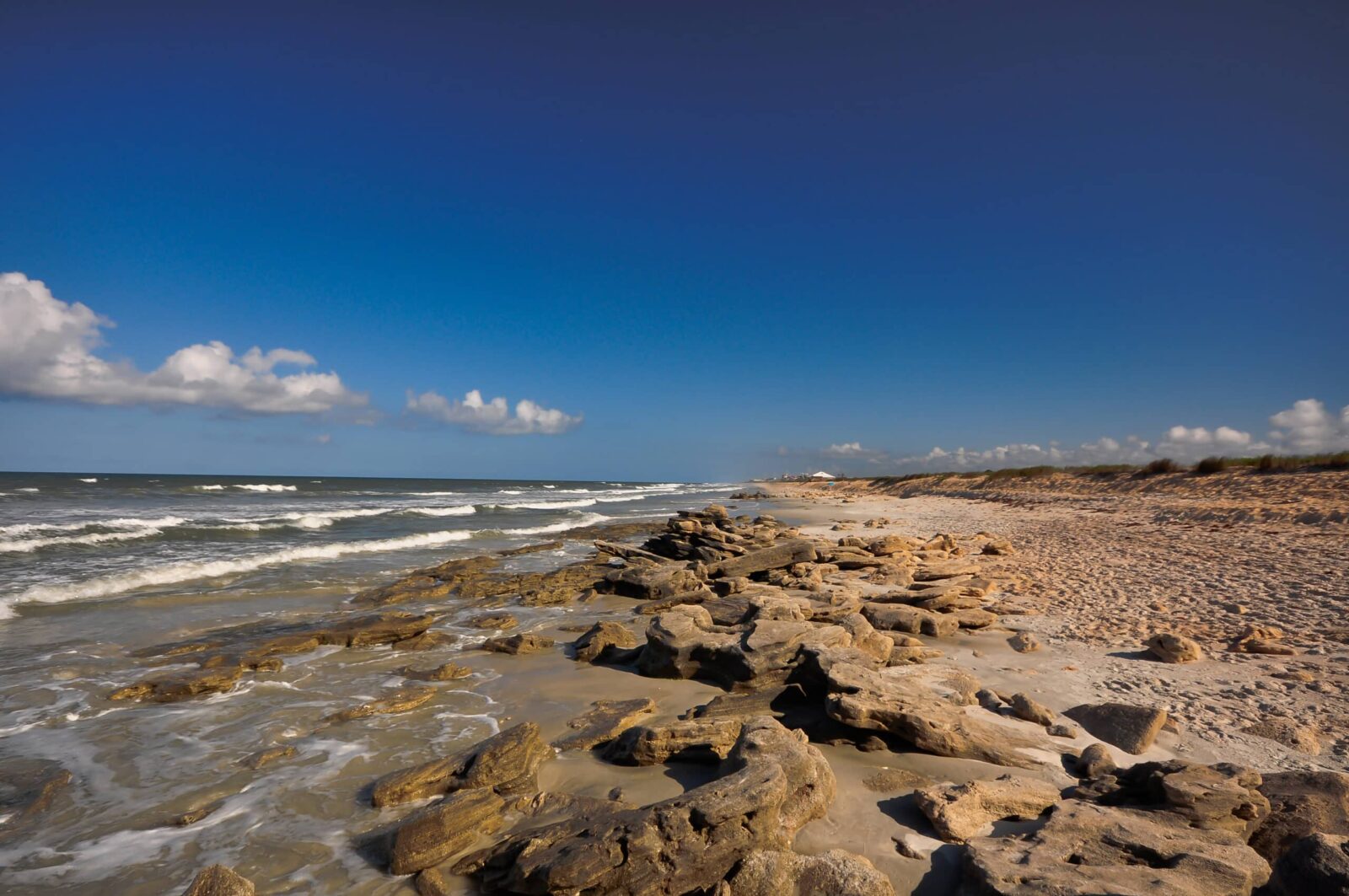 Coquina Rock Beach at Washington Oaks State Park.