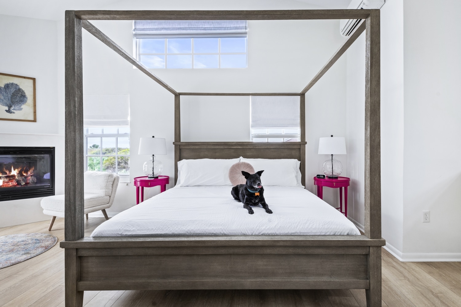 We have three pet-friendly suites at our Boutique Hotel which means your pup can join your Fall in Florida getaway.