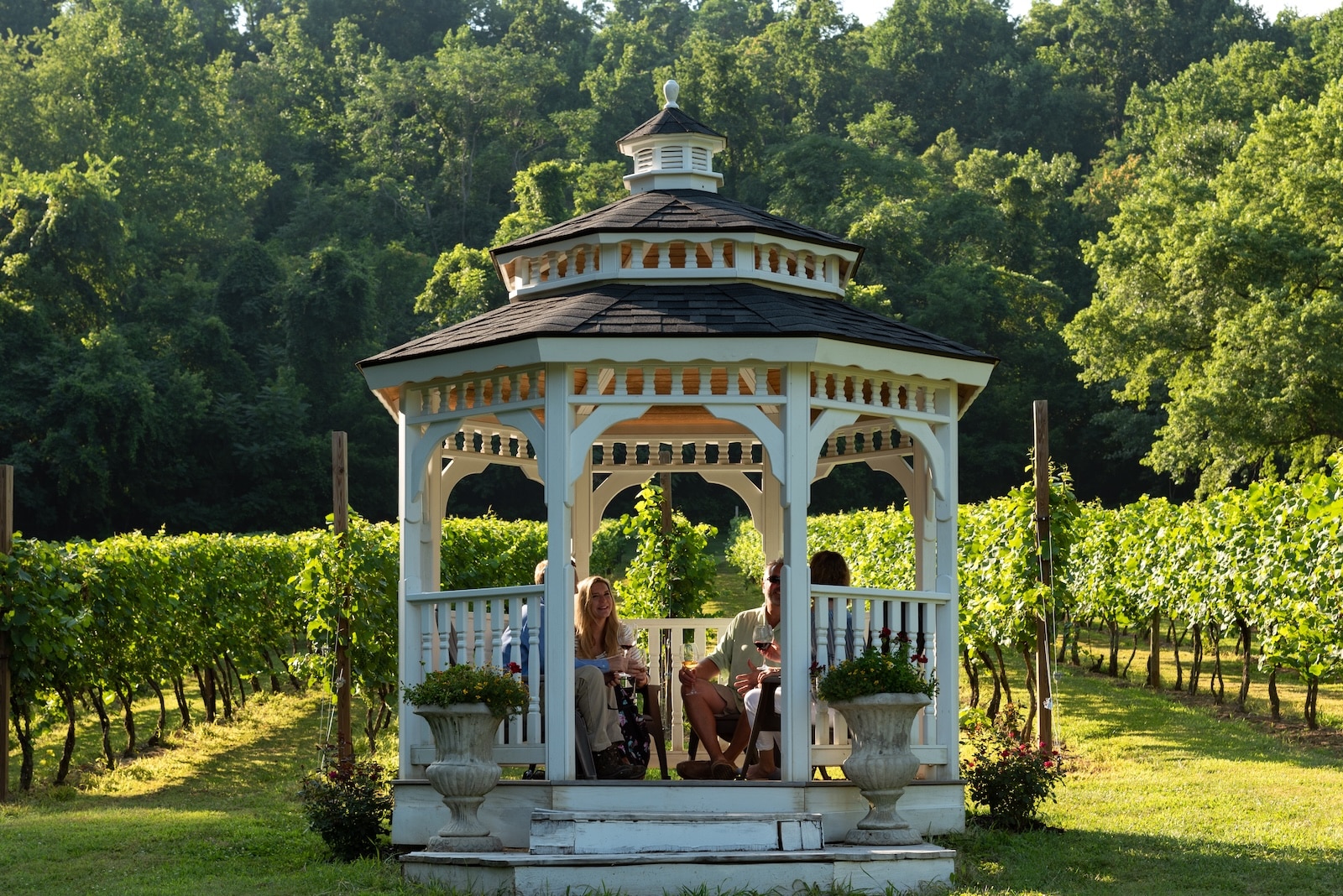 Friends in a gazebo surrounded by vineyards at a Bed and Breakfast near the Monticello Wine Trail.