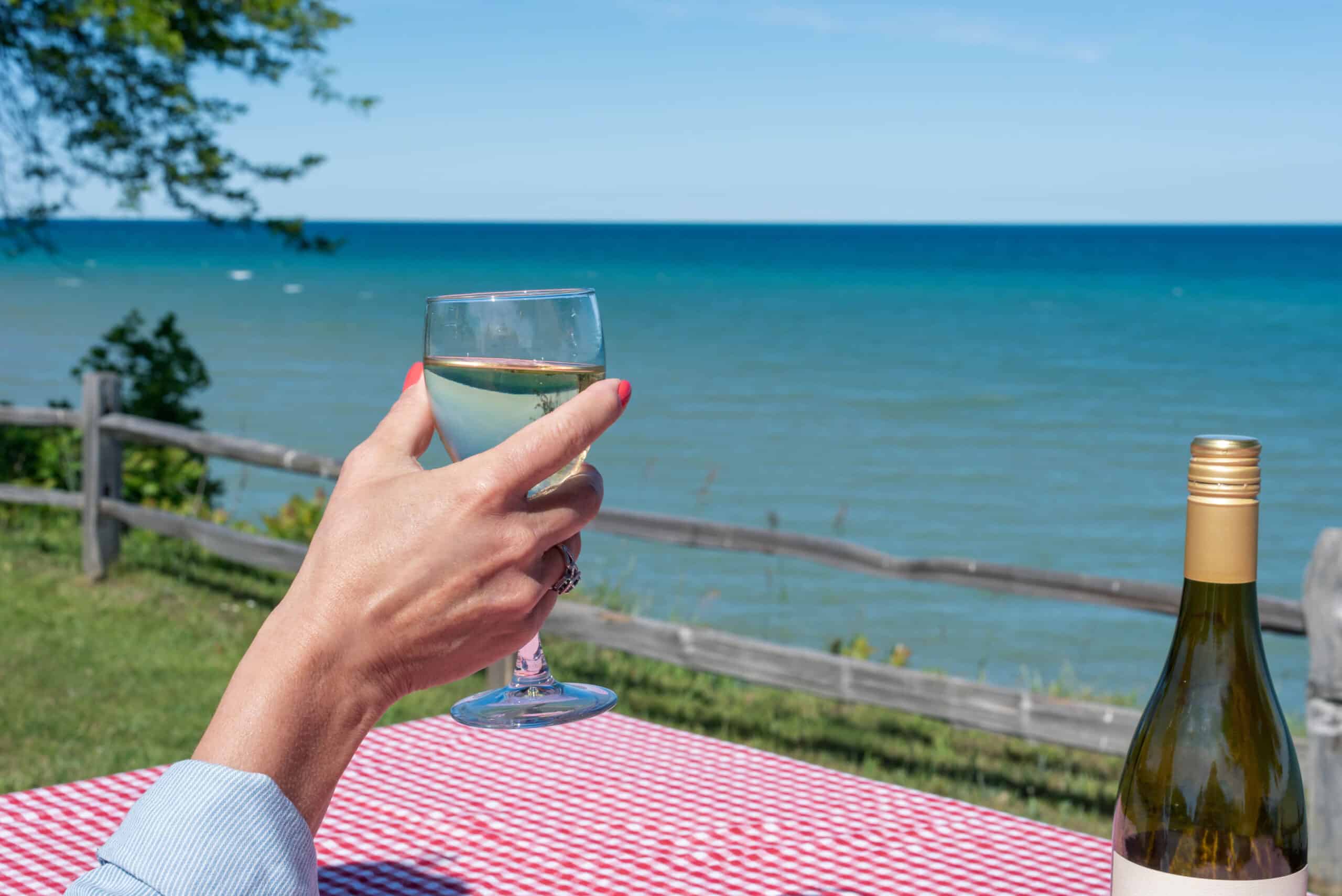 Hand holding a glass of white wine overlooking Lake Michigan from a winery, with a wine bottle and red-and-white checkered tablecloth in the foreground.