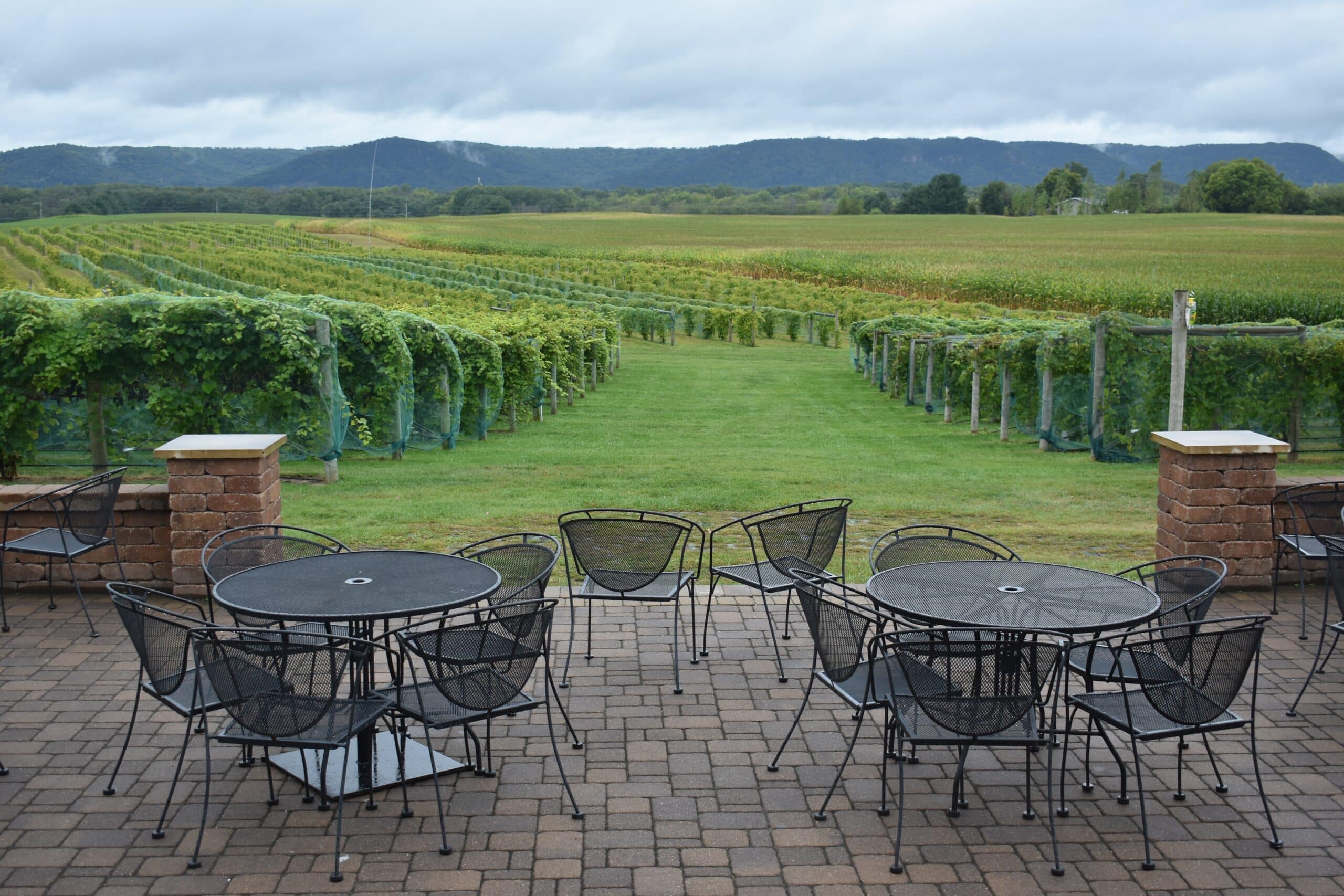 Outdoor patio seating overlooking rows of grapevines on a vineyard tasting trail, with rolling forested hills and cloudy skies in the background.