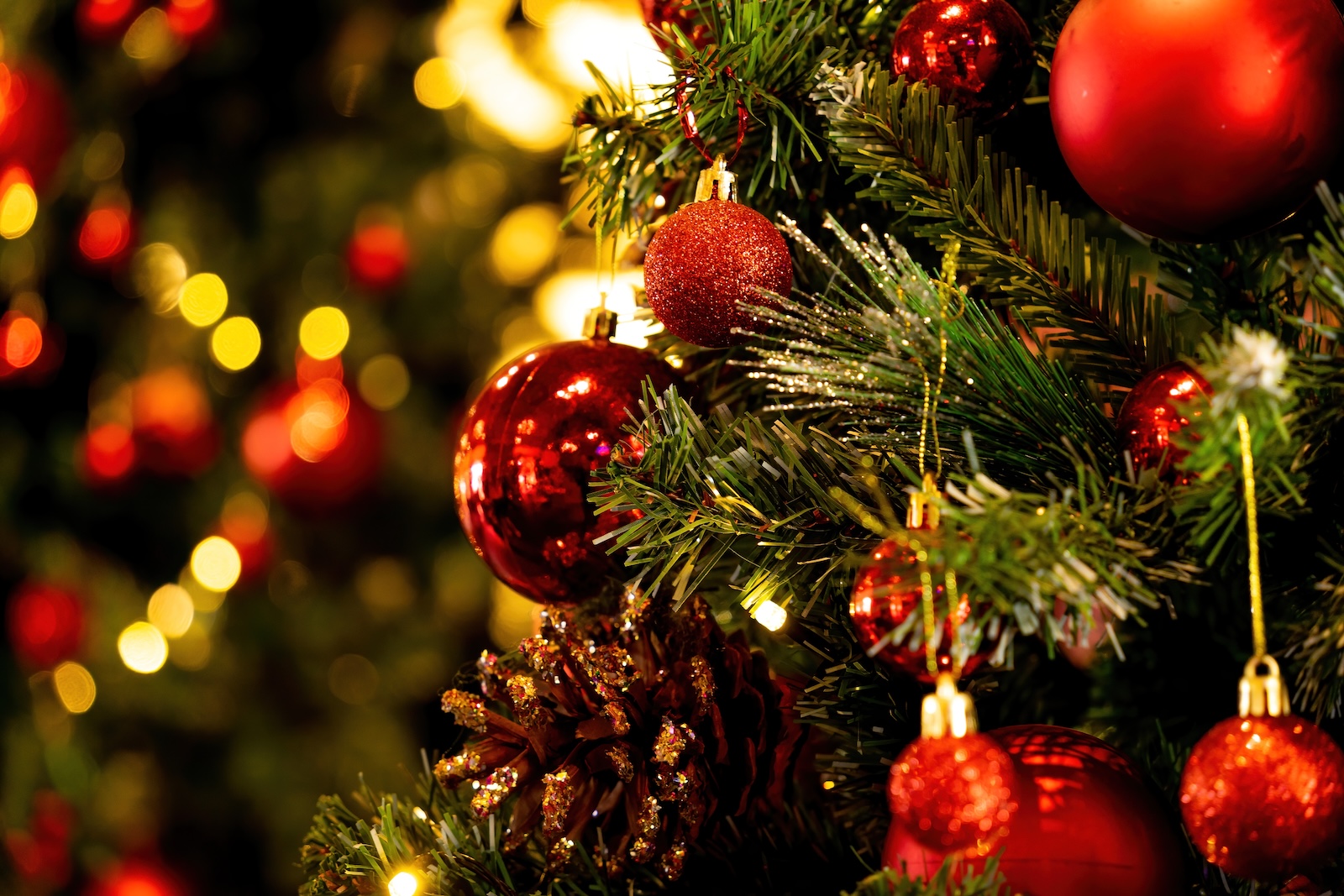 A close up of decorated Christmas trees with balls and garland at the Exeter Festival of Trees, one of the best events to attend during Christmas in New Hampshire.